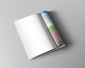 Amerikan Cilt Katalog